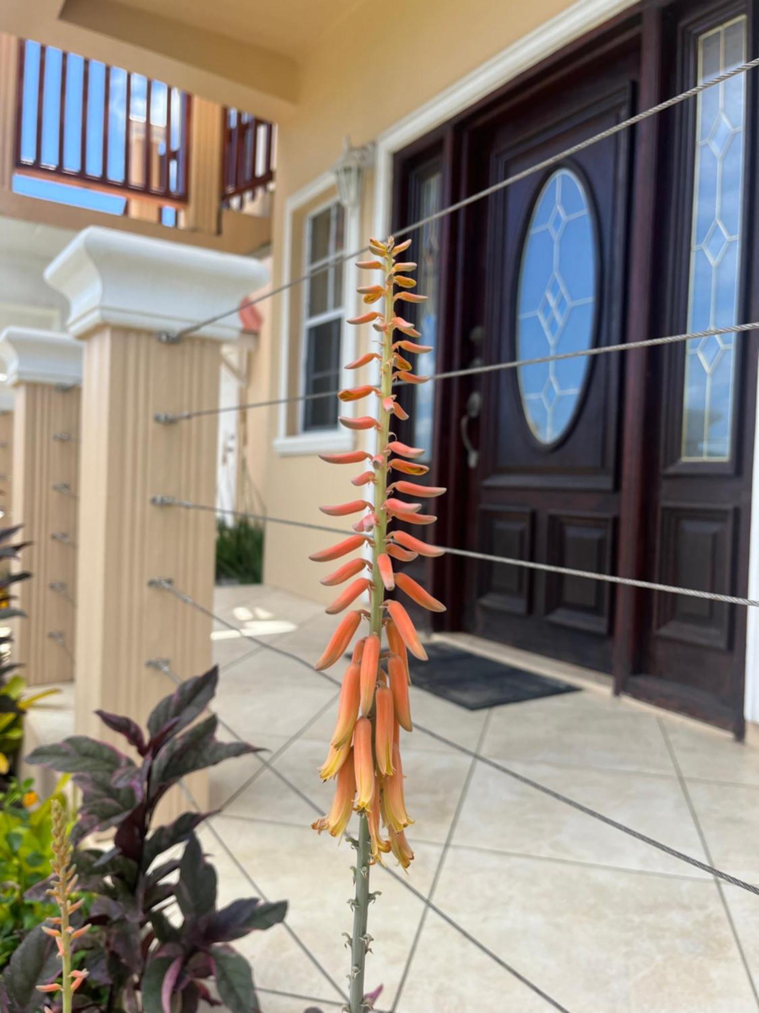 Belle Breeze Haven Apartment Gros Islet Exterior foto
