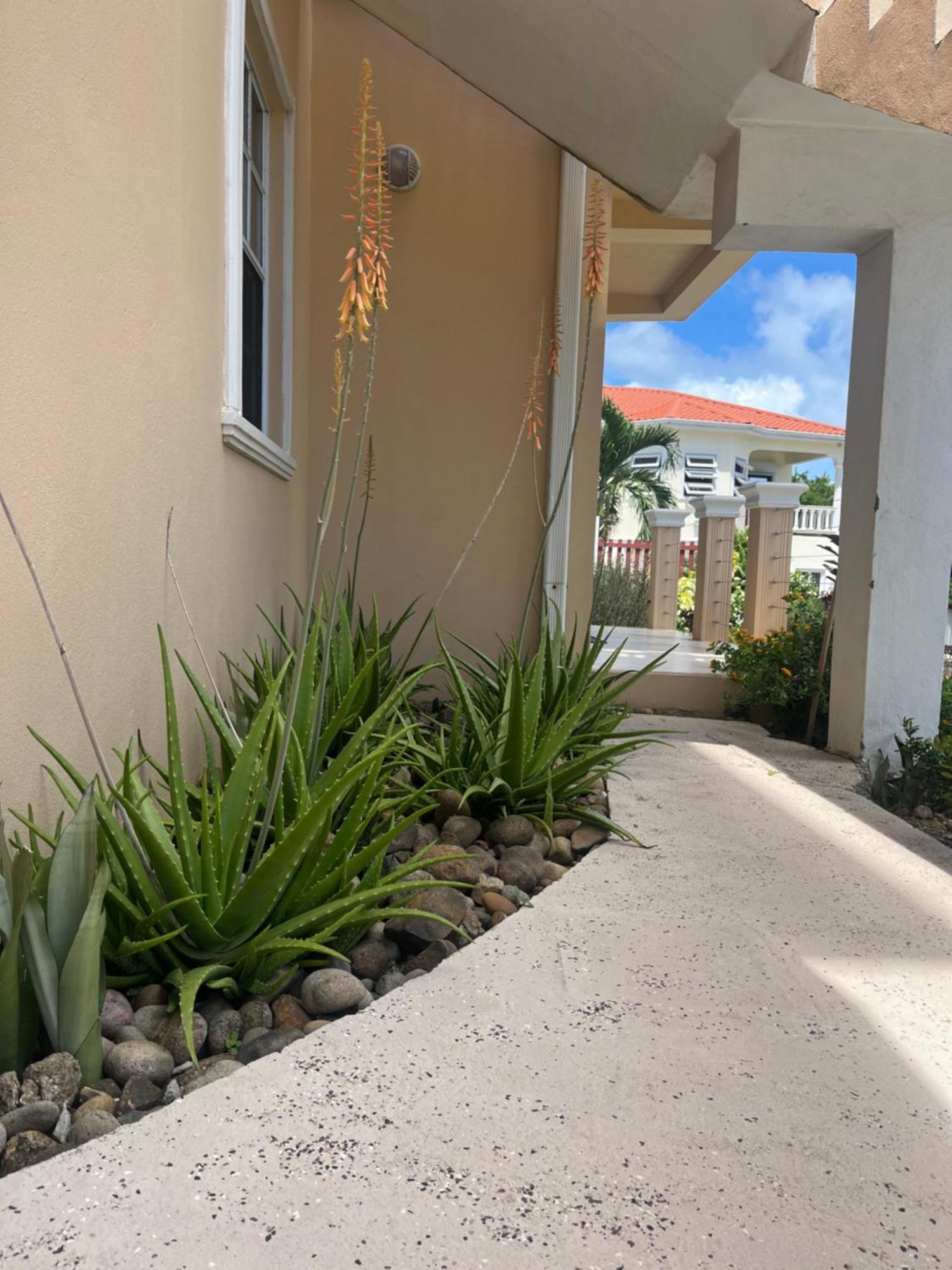 Belle Breeze Haven Apartment Gros Islet Exterior foto